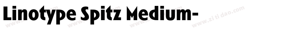 Linotype Spitz Medium字体转换